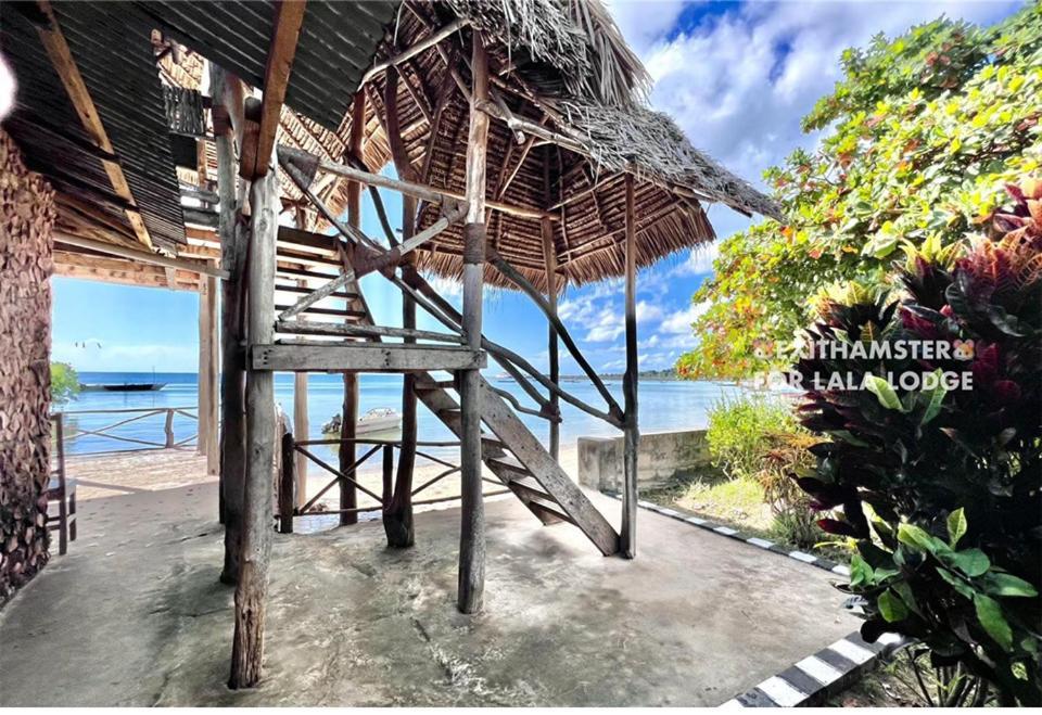 Lala Lodge Pemba Zanzibar Mgini Εξωτερικό φωτογραφία